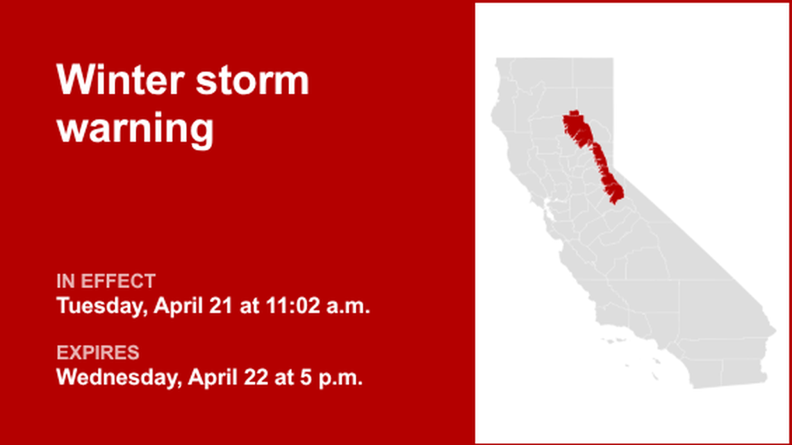 unitedrobots photography