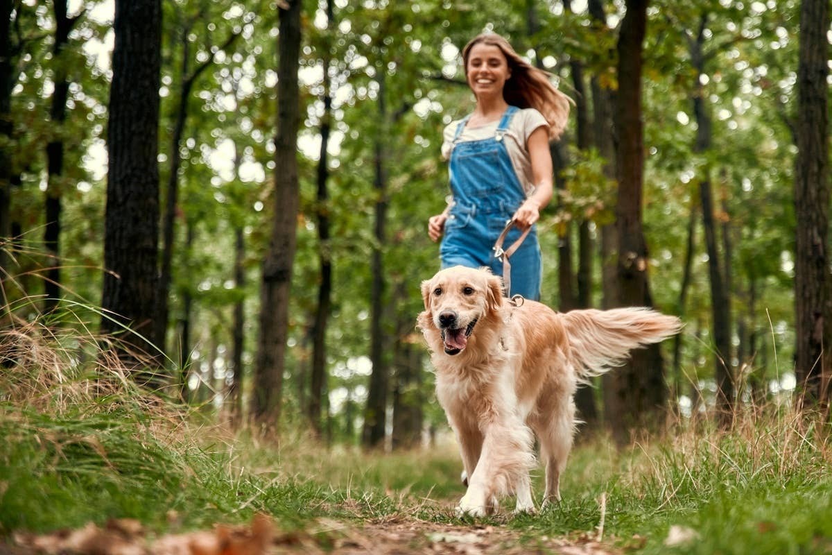  A dog parent who loves to make their pup's life full of fun.