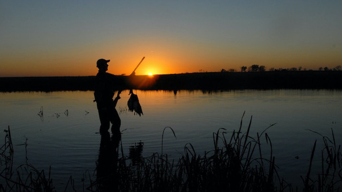 How nearly 1,000 public comments sank the DNR's proposed change to duck hunting rules