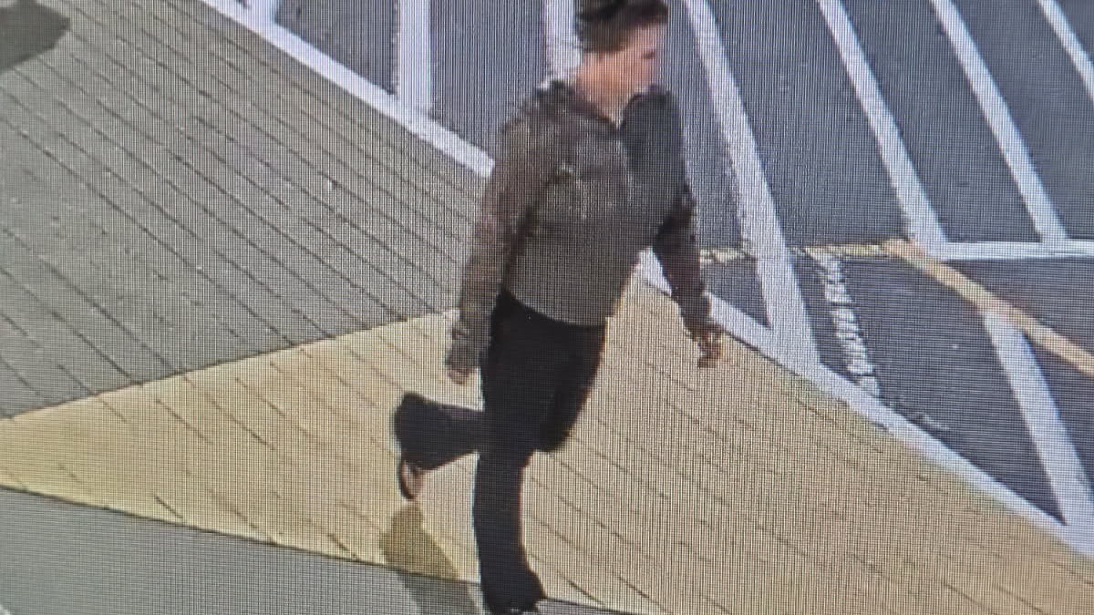 Elena Katherine Moore. Elena Katherine Moore, 39, of Lexington, South Carolina, walked through a Publix parking lot after leaving a nearby gym on June 11, police said.
