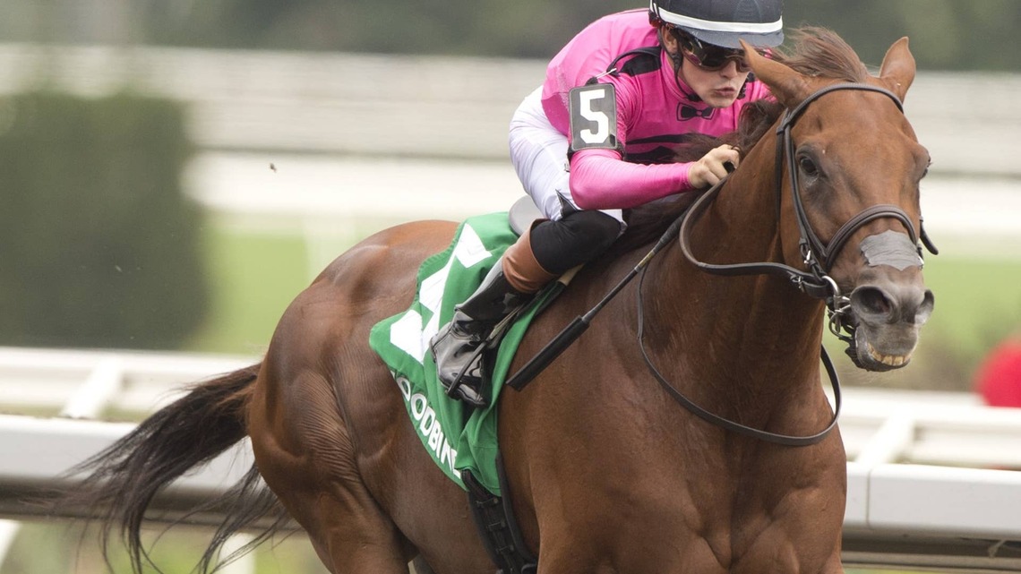 Paramount Prince Puts Authoritative Stamp On Woodbine's Inaugural Caledon 