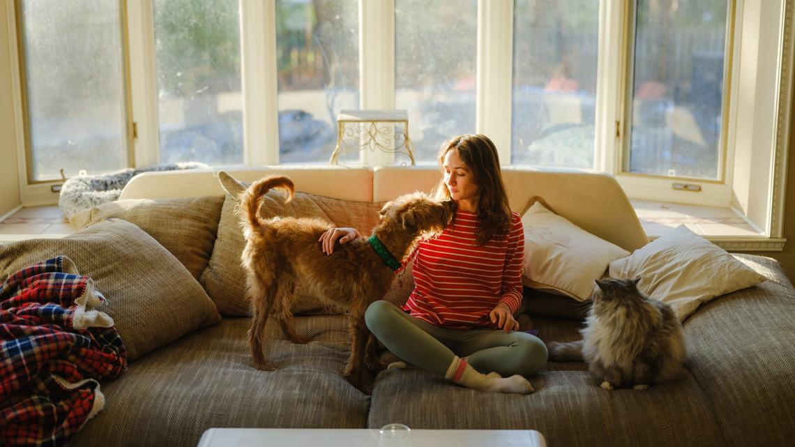 Score Big Savings on These Dog and Cat Supplies During Amazon Pet Days, Starting at $5 
