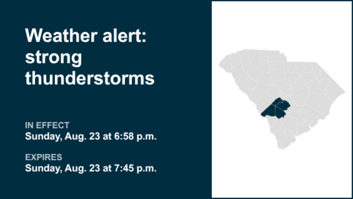 Weather alert active for South Carolina Sunday evening - gusts may reach 50 mph 