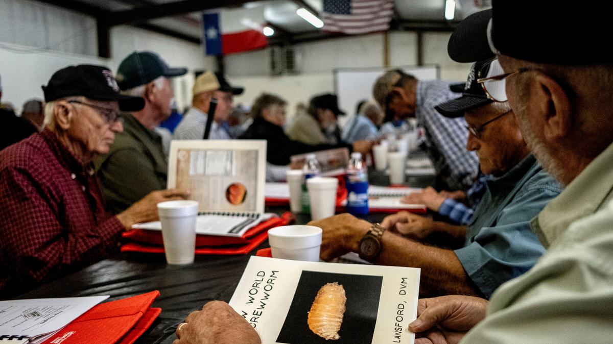 Cattle ranchers attend a presentation on the threat of the New World Screwworm during the Fayette County Cow/Calf Clinic and Trade Show in La Grange, Texas, U.S., May 1, 2026.  REUTERS/Joel Angel Juarez