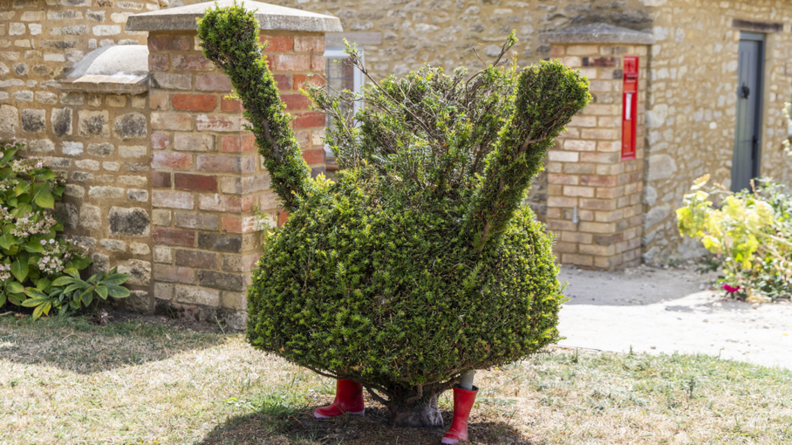 Vandals wanted for decapitating Peppa Pig hedge sculpture