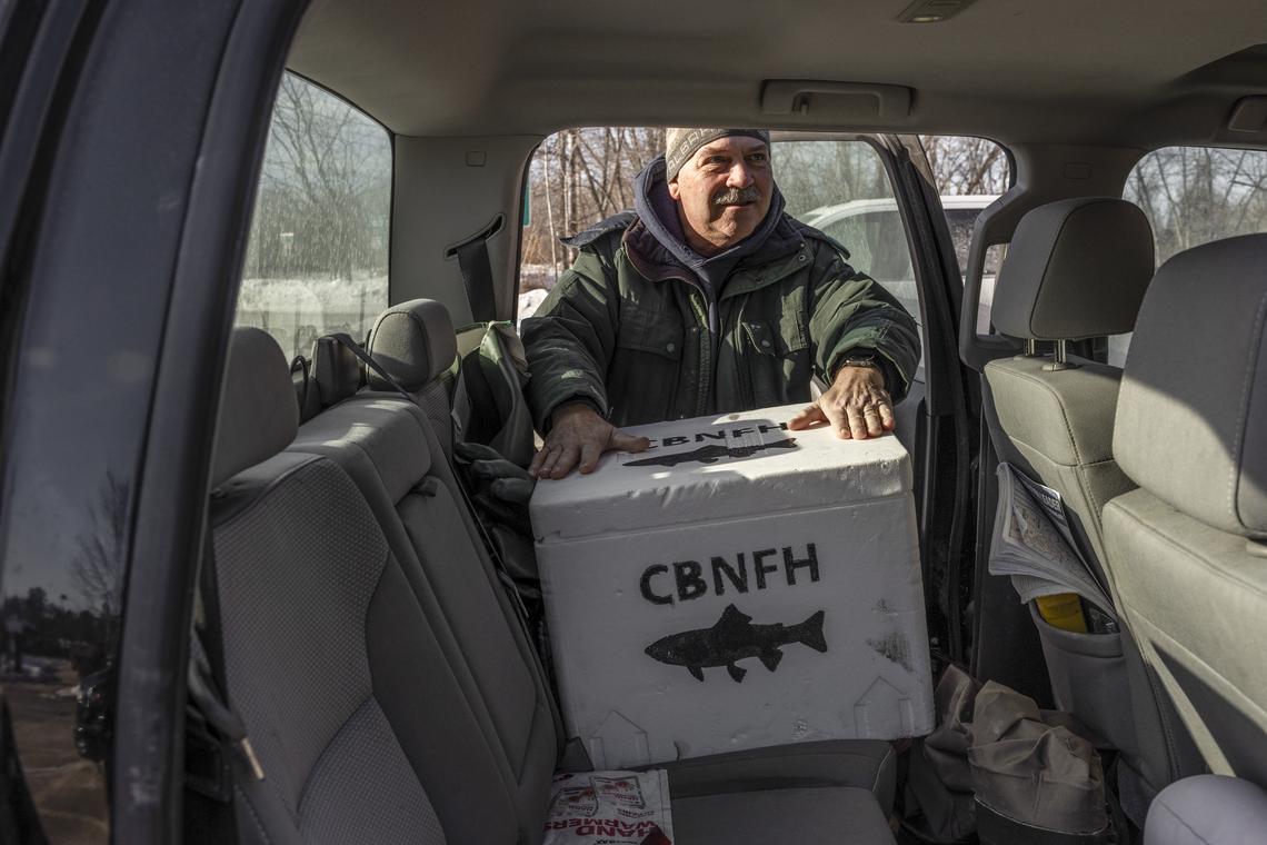 Paul Christman, a marine scientist with the Maine Department of Marine Resources, with a cooler full of salmon eggs in Farmington, Maine, March 3, 2026. Christman jokingly refers to the cooler full of salmon eggs from a local hatchery as a "school bus." (Greta Rybus/The New York Times)