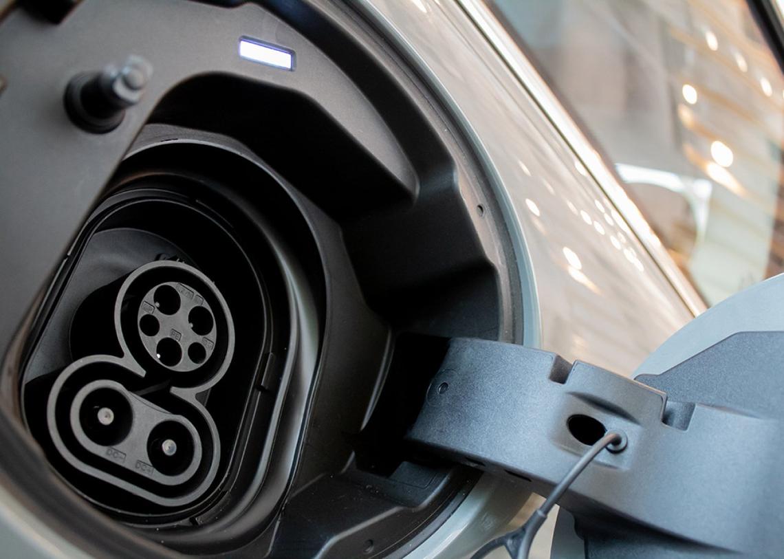  Kevin McGovern // Shutterstock 