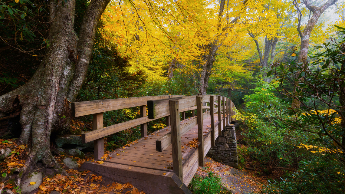 Best destinations for families to enjoy a fall foliage themed getaway