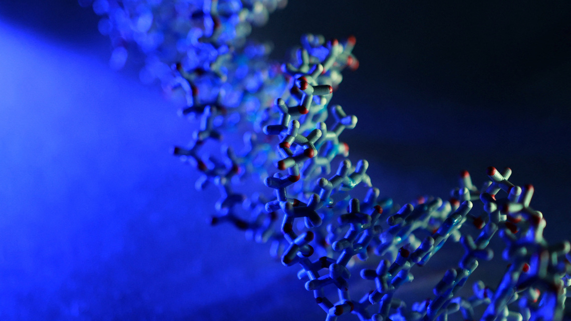 Pharvaris' genetic disorder drug meets main goal in late-stage trial