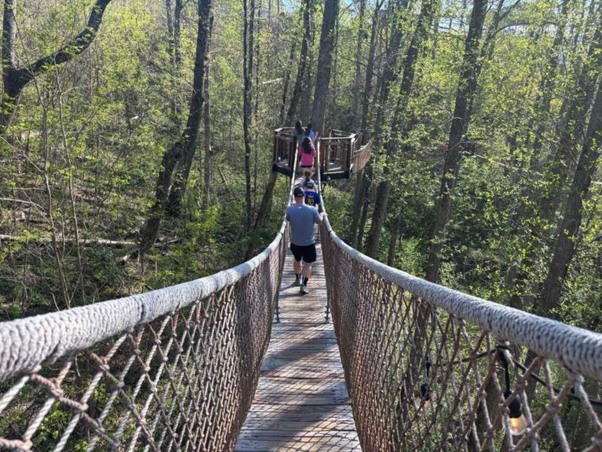  Walking among the treetops at Anakeesta, one of our absolute favorite ways to soak in the Smoky Mountain views together. Photo credit: Emily Caldwell 