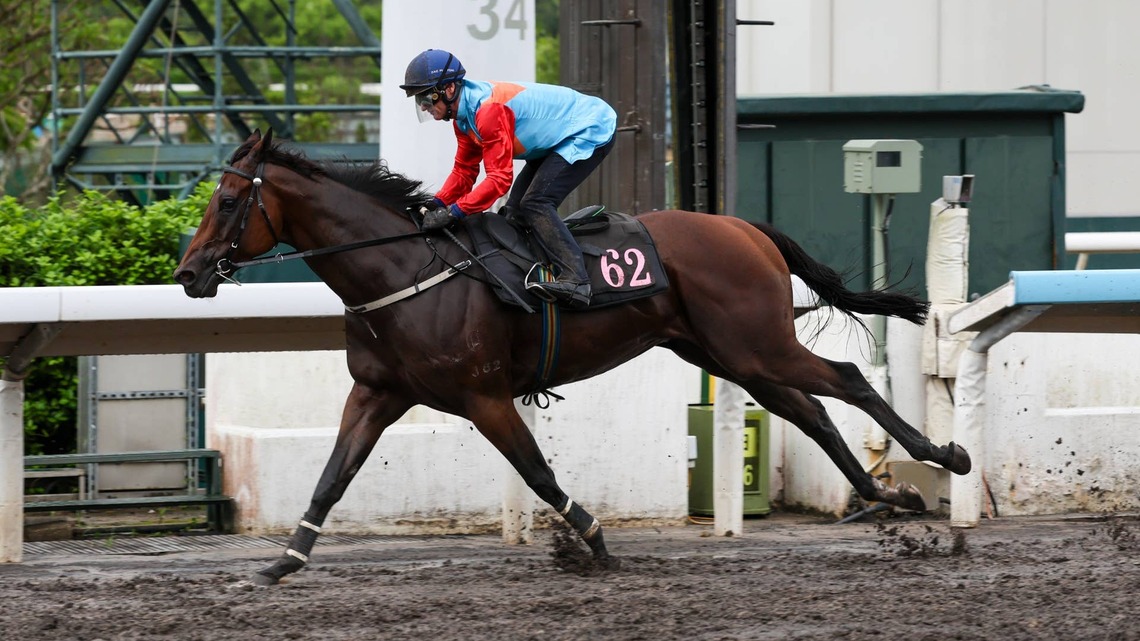Ka Ying Rising Dominates Barrier Trail Ahead Of Prep Race For The Everest 