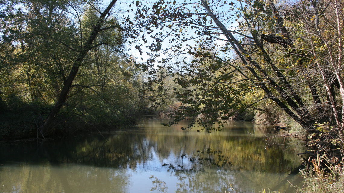 Staff bleed hits agency responsible for protecting Kentucky wildlife | Exclusive 