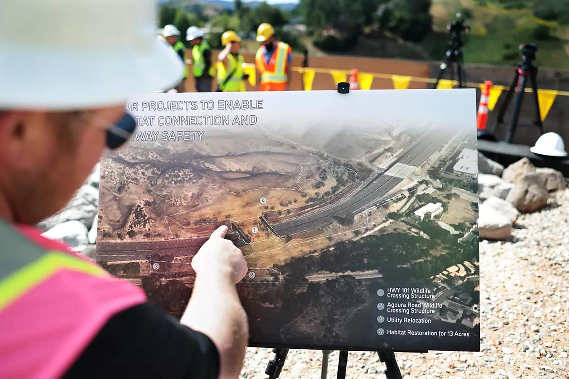 Christina House/Los Angeles Times/TNS