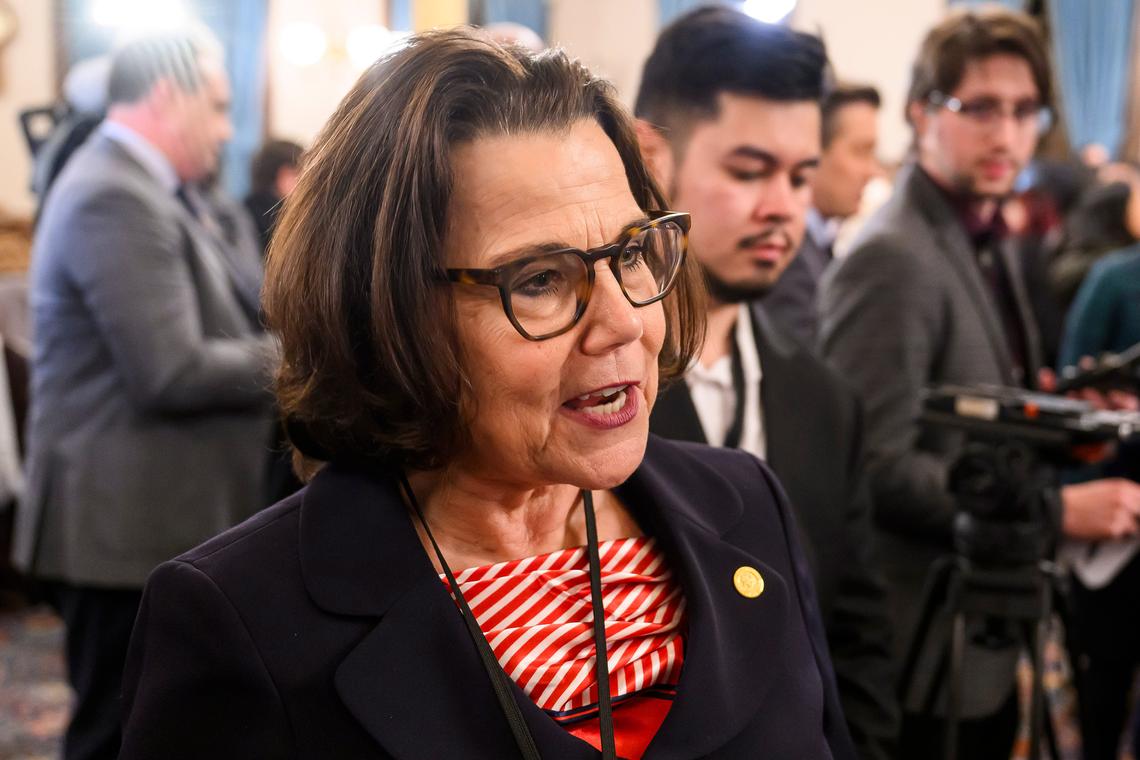 Katy Kildee, The Detroit News/The Detroit News/TNS