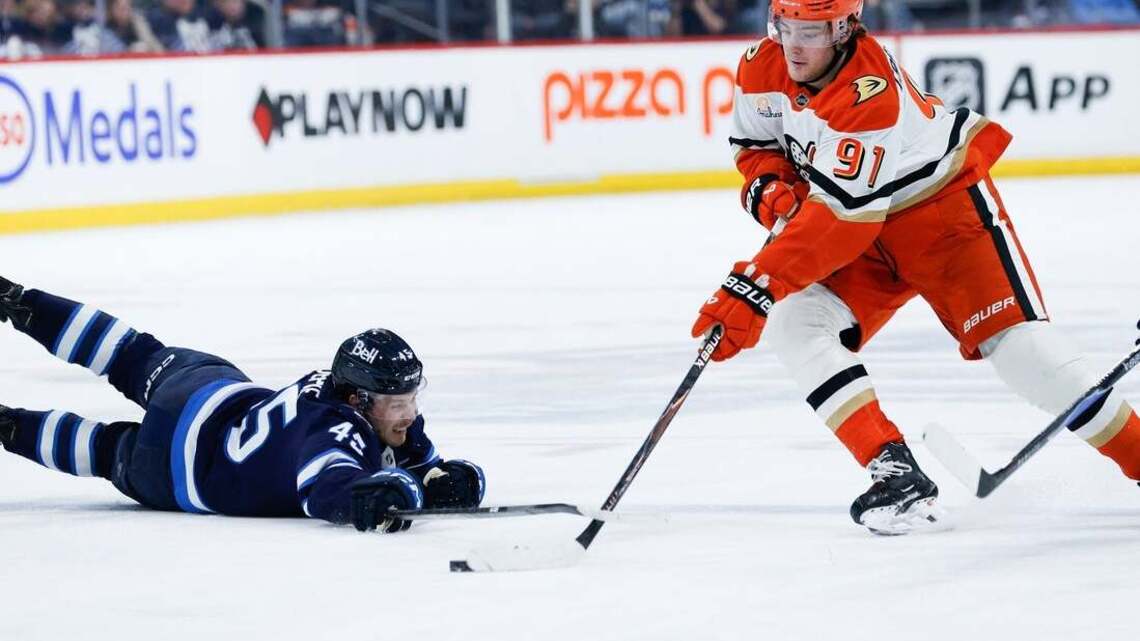 Ducks bounce back, snap Jets' winning streak 