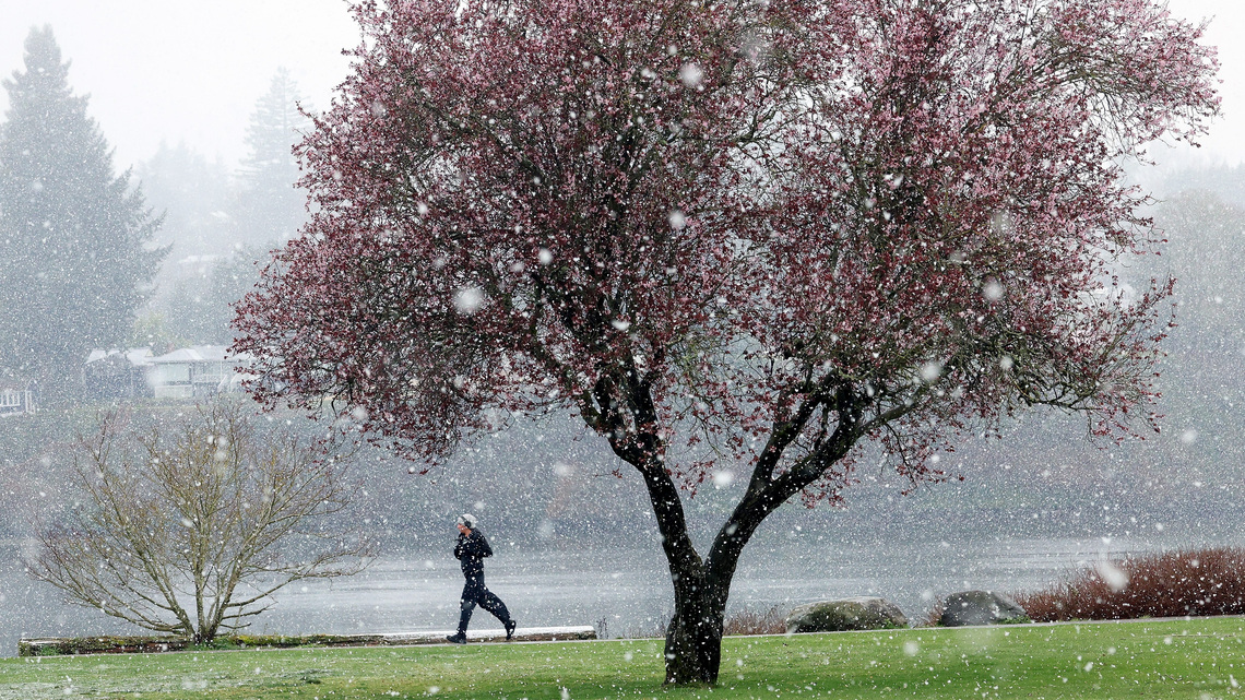 Fall weather arriving Washington with rain, lower temperatures