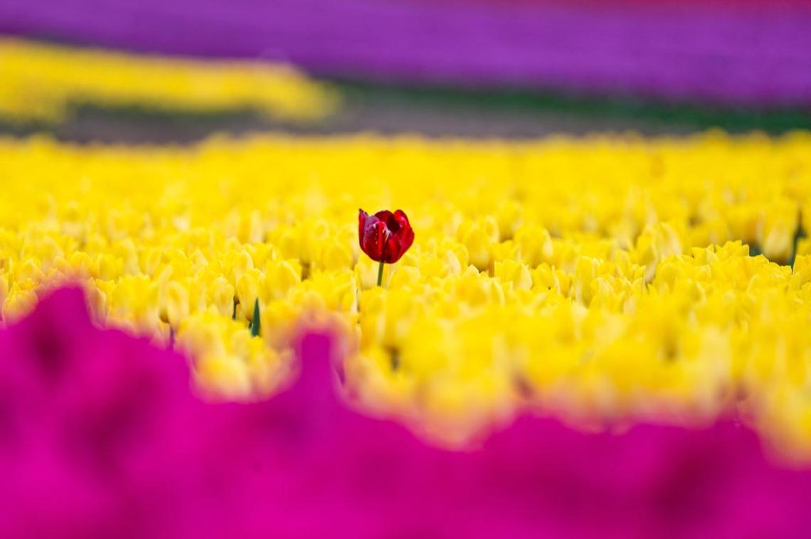  (James Linsell Clark via SWNS) 