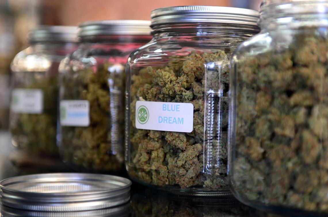  Highly rated strain of medical marijuana “Blue Dream” is displayed among others in glass jars at Los Angeles’ first-ever cannabis farmers market, at the West Coast Collective medical marijuana dispensary on July 4, 2014. 