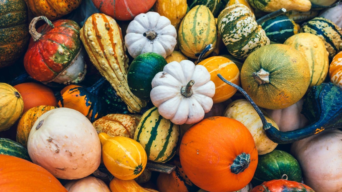 Turn Pumpkins Into the Prettiest Thanksgiving Centerpiece With One Easy DIY 