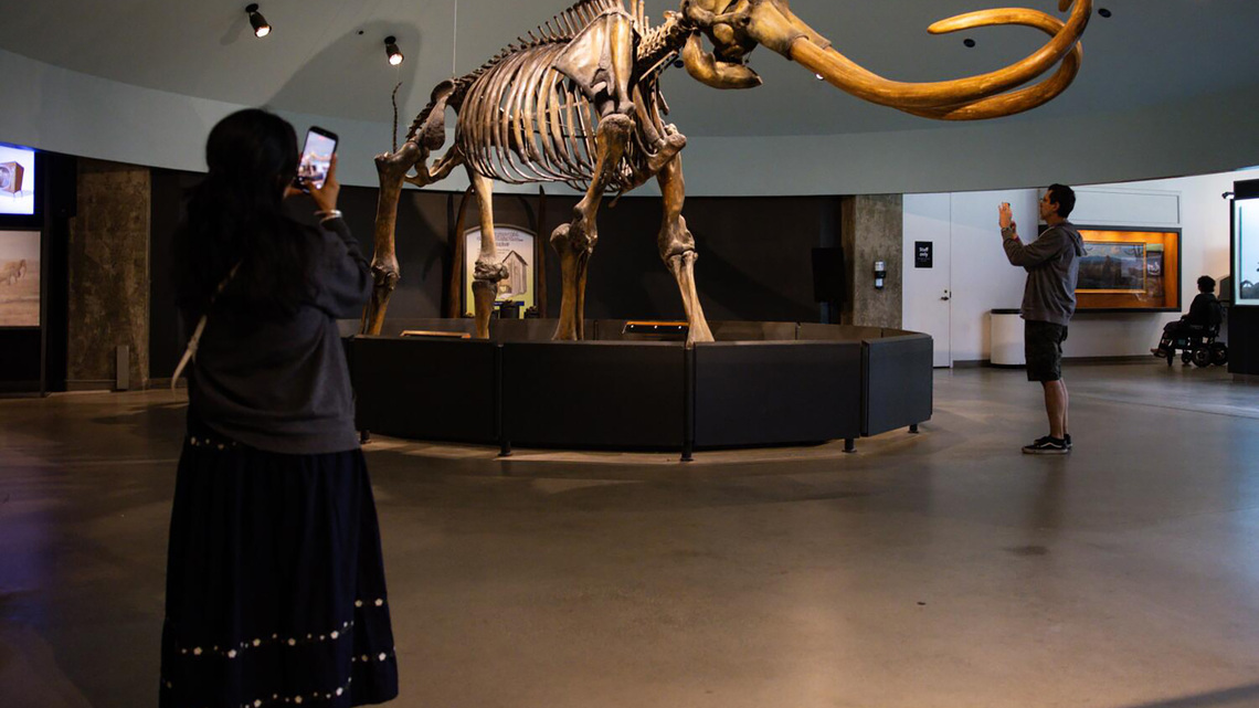 Farewell, my Smilodon: La Brea Tar Pits to close for 2 years