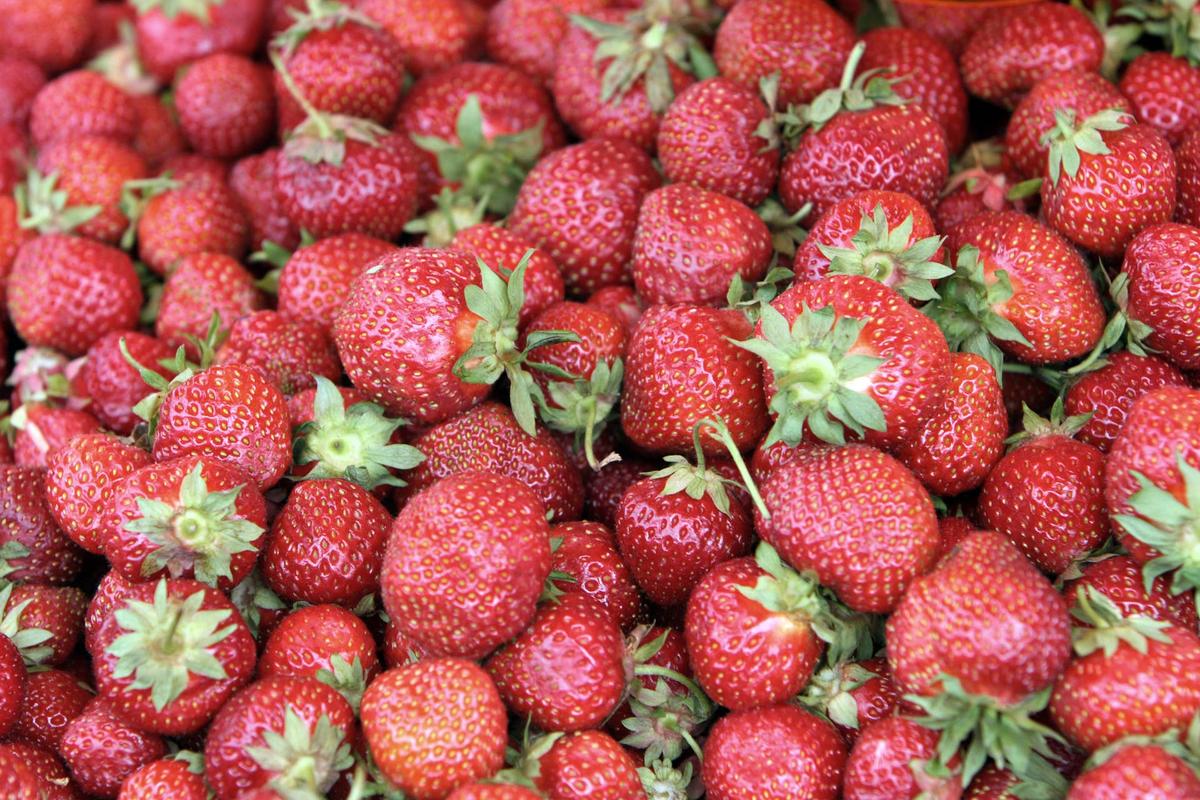  Americans throw out a lot of food each year. AI might help decrease that waste. 