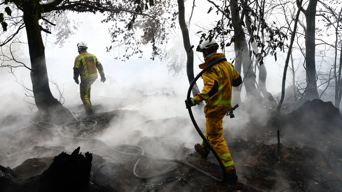 Rain aids fight against Belgium's biggest wildfire, as blazes rip through Europe 
