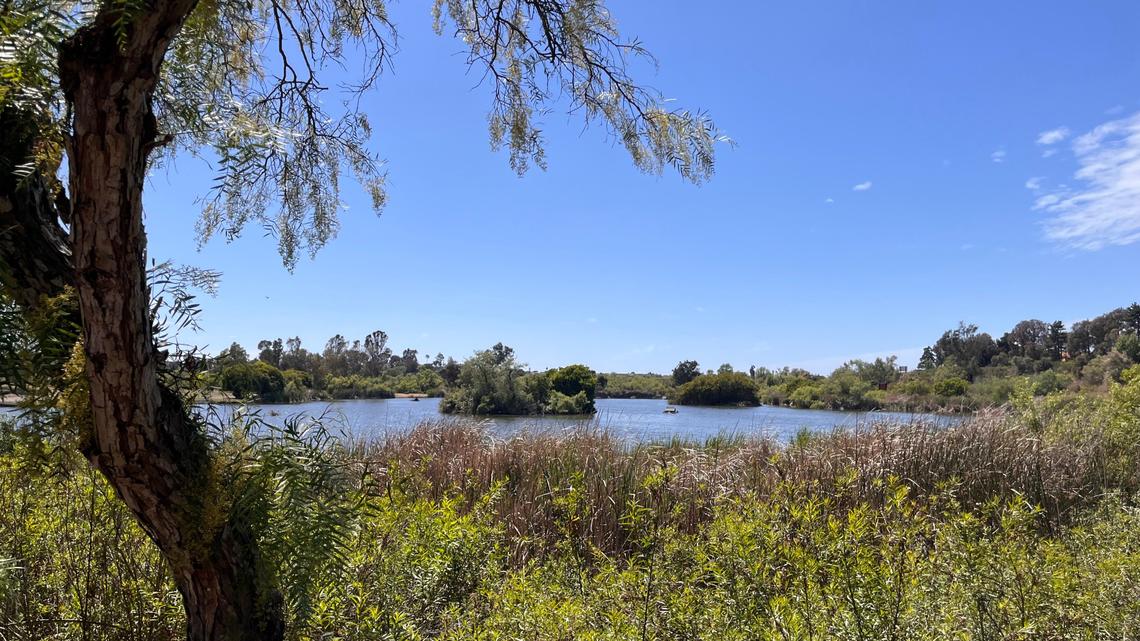 Maura Fox: Lakes, ponds, grasslands and woodlands delight at Southern California's Guajome Regional Park 