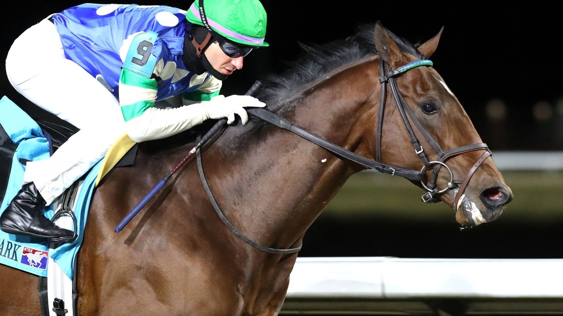 Stakes Winner Street Beast Makes Dirt Debut In Perryville 