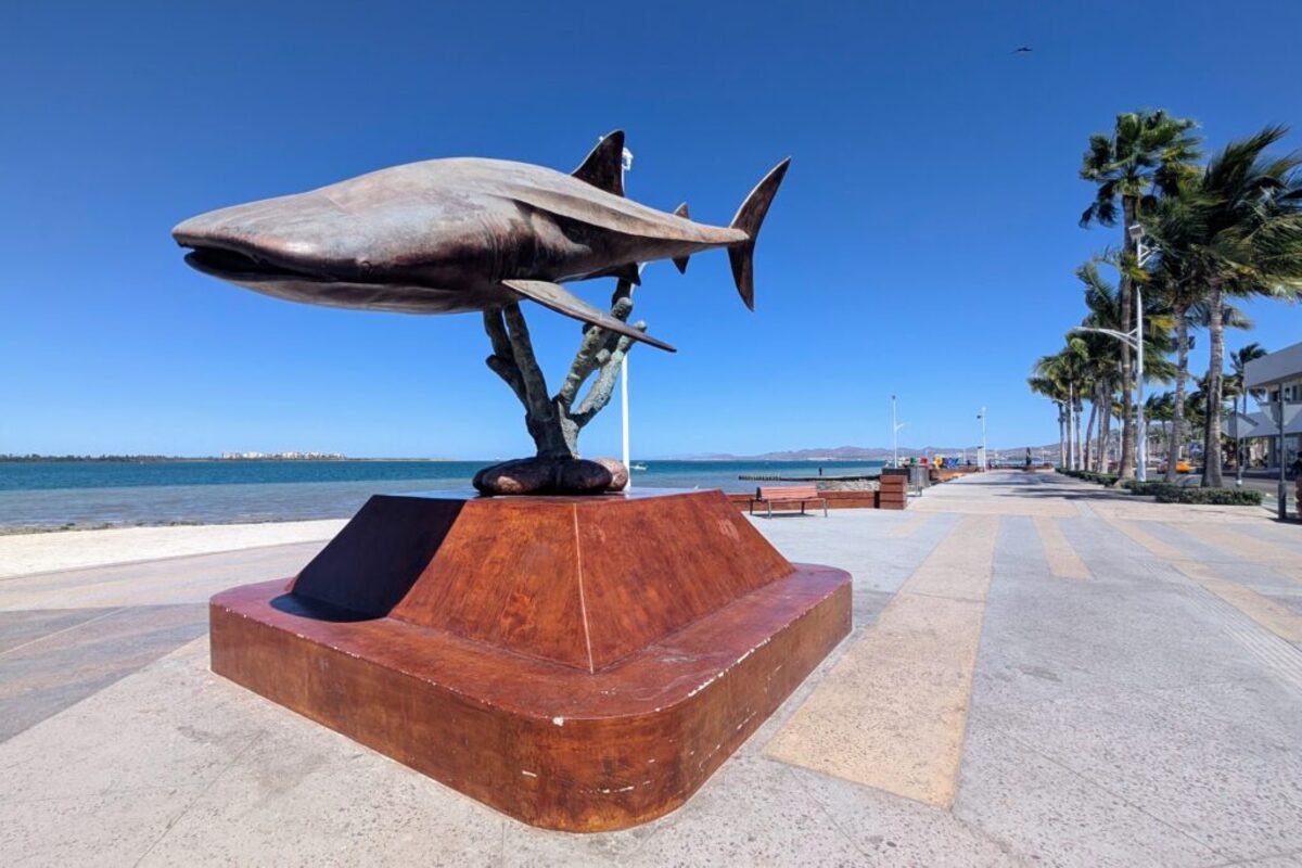  The Malecón in La Paz. was nearly deserted during the day when we visited in March 2026. Photo credit: Cindy Richards 