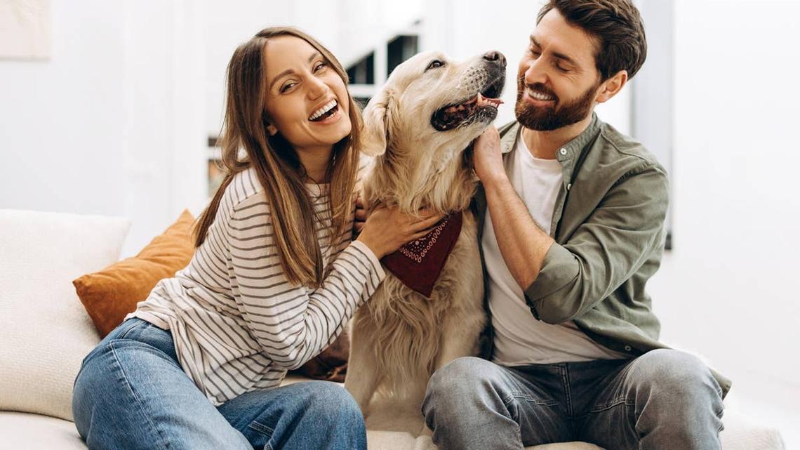7 Signs You're Your Dog's Favorite Human 