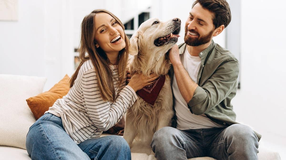 A dog with its favorite people. 