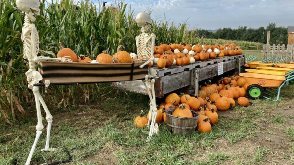 Halloween Lovers, These 13 Trips Belong on Your Fall Bucket List 