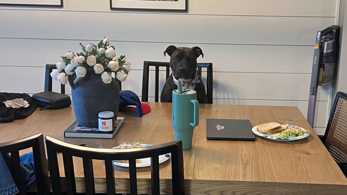 Owner Receives Dog's Report Card From Daycare, Learns Something Unexpected 
