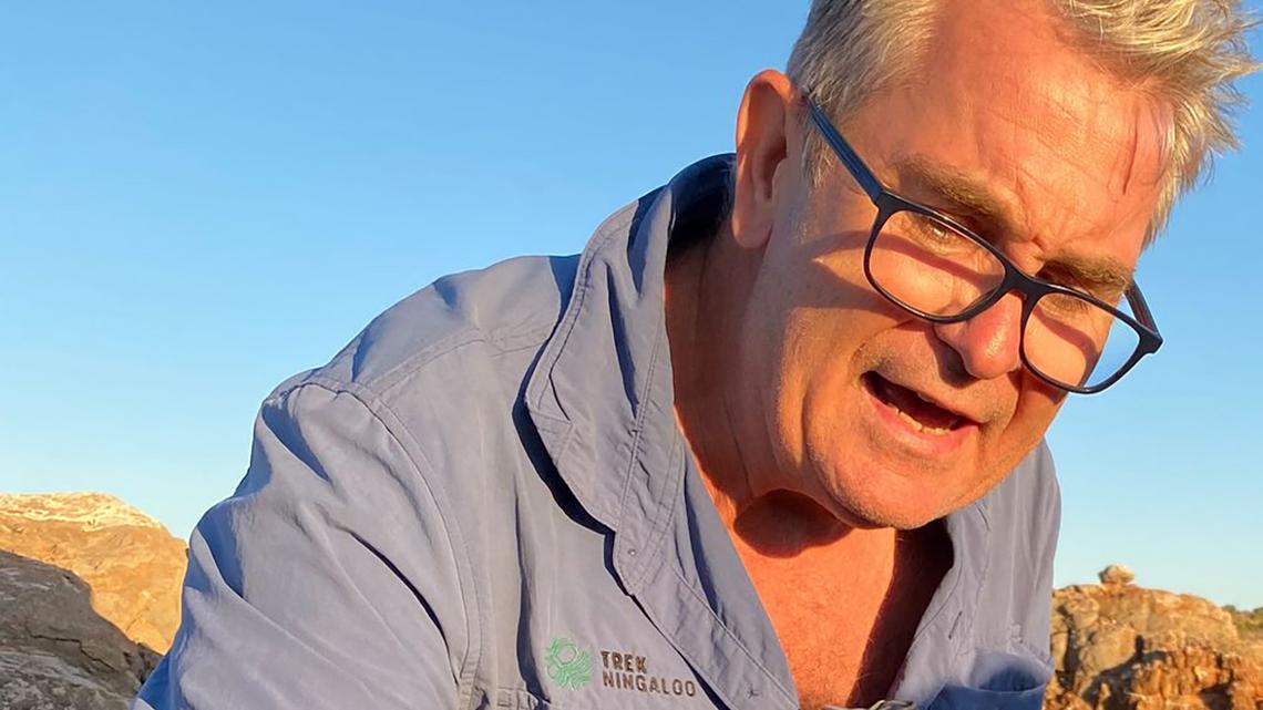 Swimming with the world's largest fish, the whale sharks of Australia 