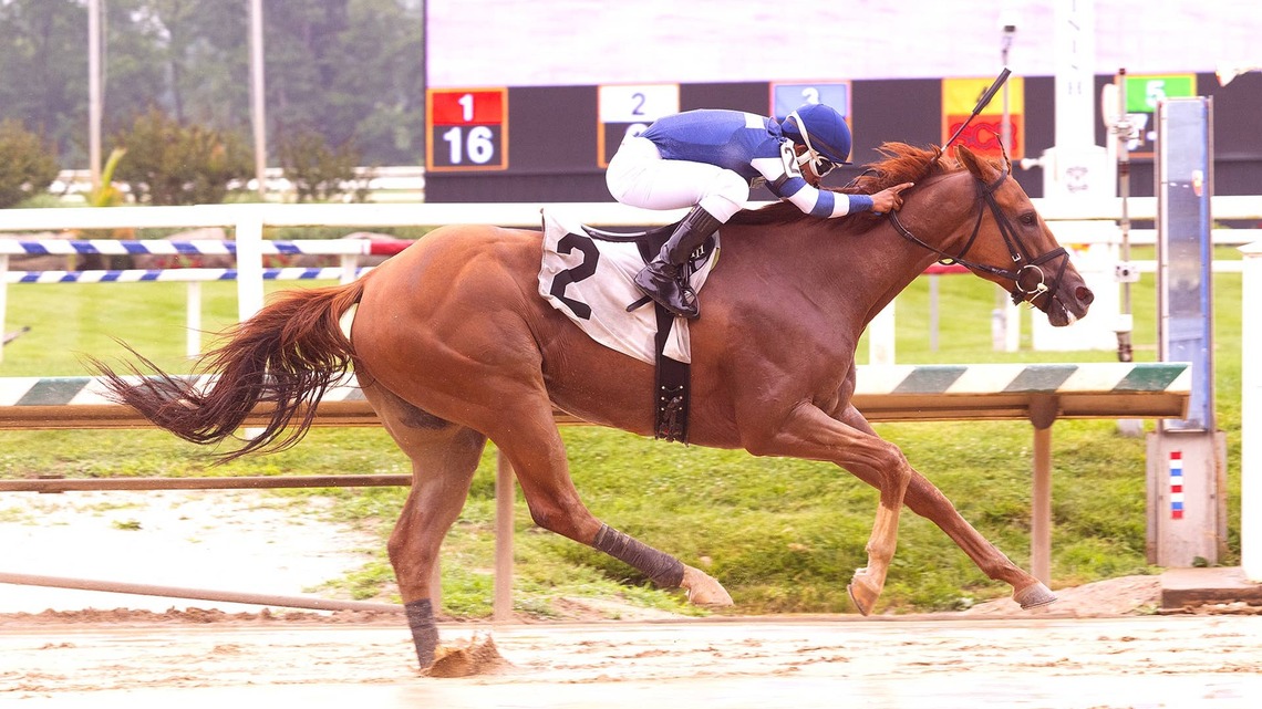 Four Stakes On Tap At Laurel Park Saturday 