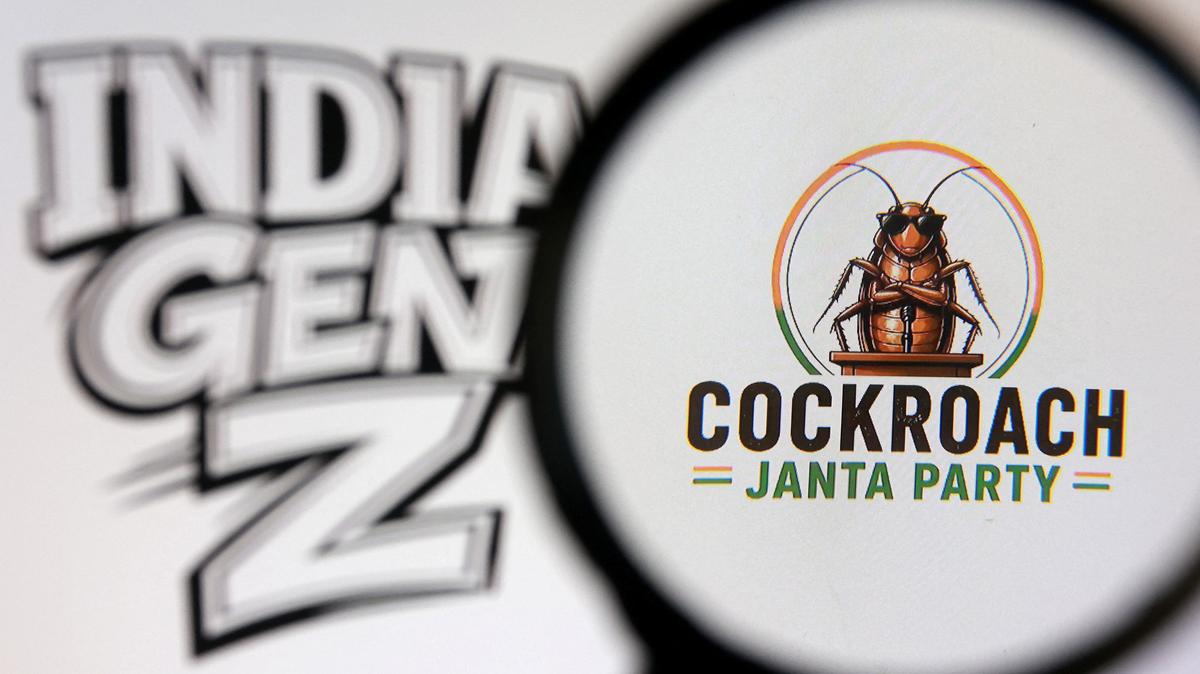 The Cockroach Janta Party and words "India Gen Z" logo are seen in this illustration taken May 28, 2026. REUTERS/Dado Ruvic/Illustration