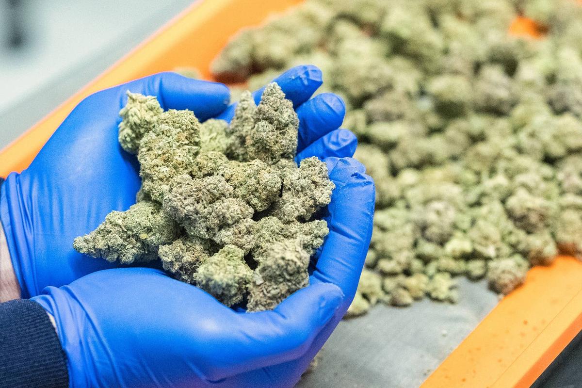  Atlantic Medicinal Partners (AMP) abruptly closes all locations amid lawsuits. 