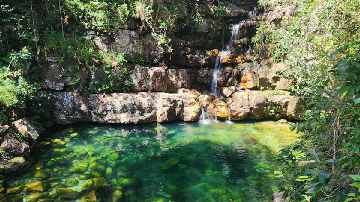  The Stress-Free Sanctuary. Emerald pools and wooden boardwalks mean no mud, no steep climbs, and no be careful! every five seconds. It's the ultimate Day One spot for families to find their flow. Photo credit: Felipe and Melissa Machado TripVista360 