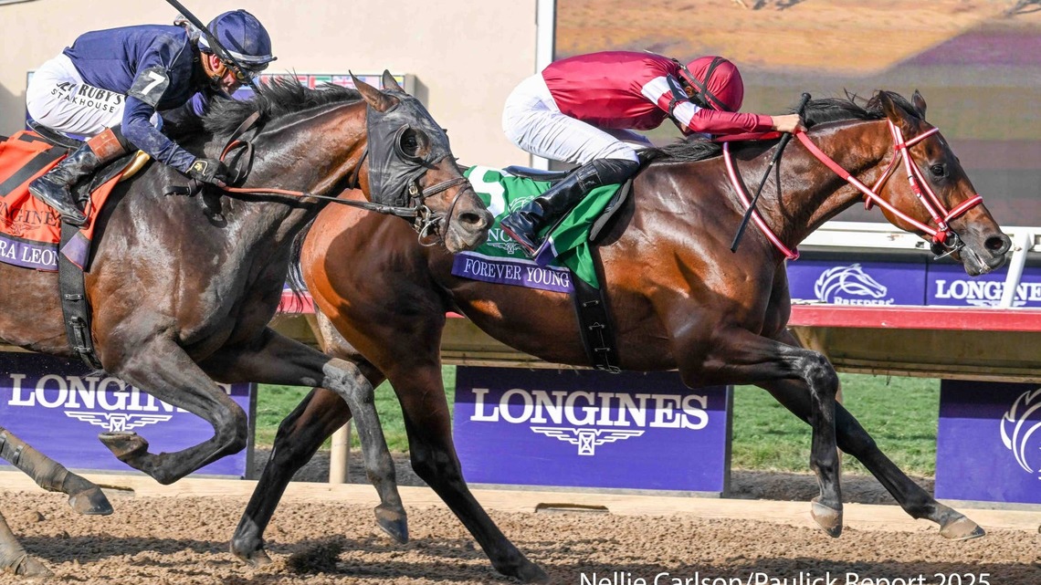 Forever Young Heads Jockey Club Gold Cup As Belmont Park Enters New Era 