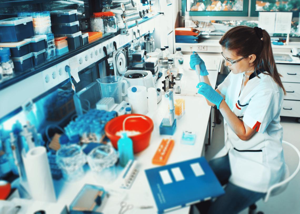  tilialucida // Shutterstock 