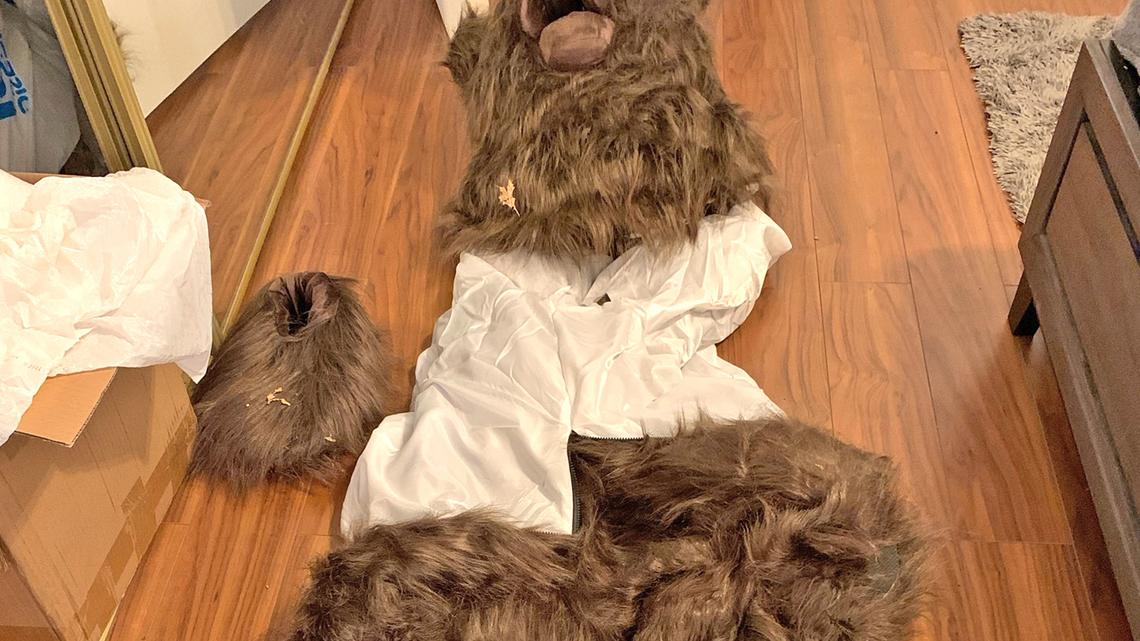 They dressed like a bear and damaged a Rolls-Royce in an audacious insurance scheme