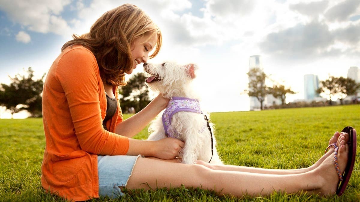 Some dogs are more in tune with their humans than owners realize.