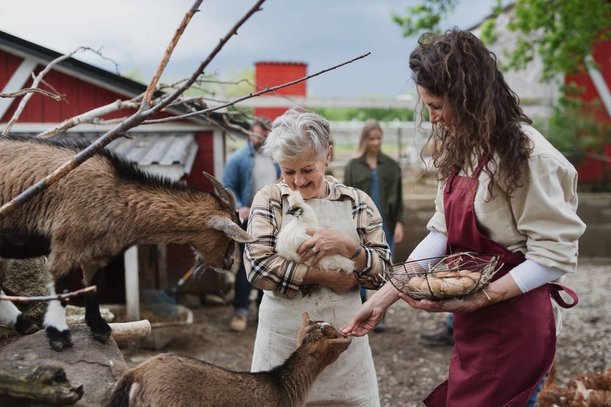  Every farm animal comes with daily responsibilities.