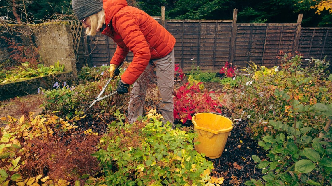 Gardeners Say You Can Still Plant These 8 Vegetables in November-With the Right Conditions for a Future Harvest 
