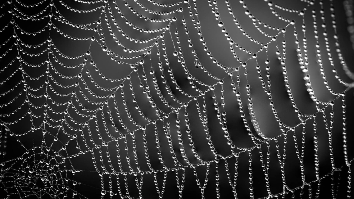 DIYer Turns a Pretty Beaded Spiderweb Into a Sparkly Halloween Statement Piece 