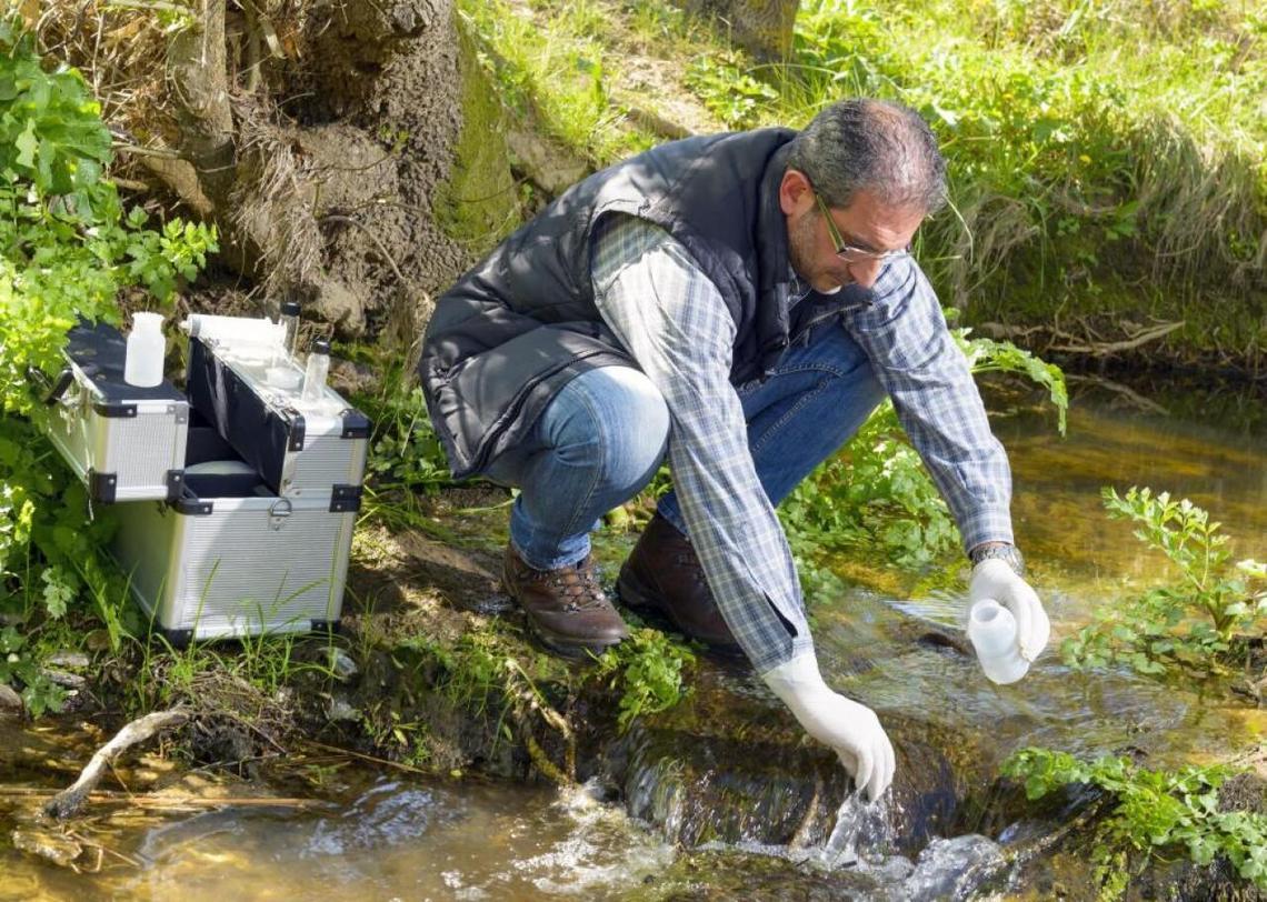  Patrizio Martorana // Shutterstock 