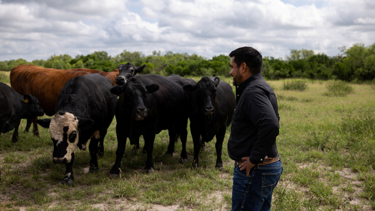 Anthony Gallegos, 43, stands in a pasture with some of his cows on his ranch, three days after the U.S. Department of Agriculture confirmed that New World screwworm was detected in a Texas calf in Zavala County, near La Pryor, Texas, U.S. June 6, 2026.  REUTERS/Kaylee Greenlee