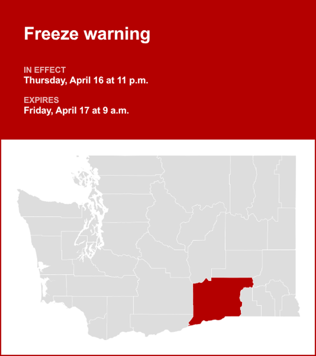 unitedrobots photography