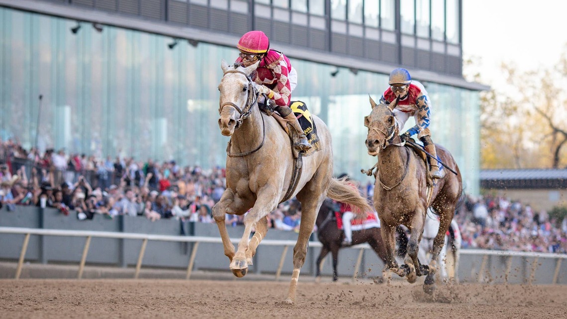 ‘Changed My Entire Life': Grade 1 Arkansas Derby Winner Sandman Retired 