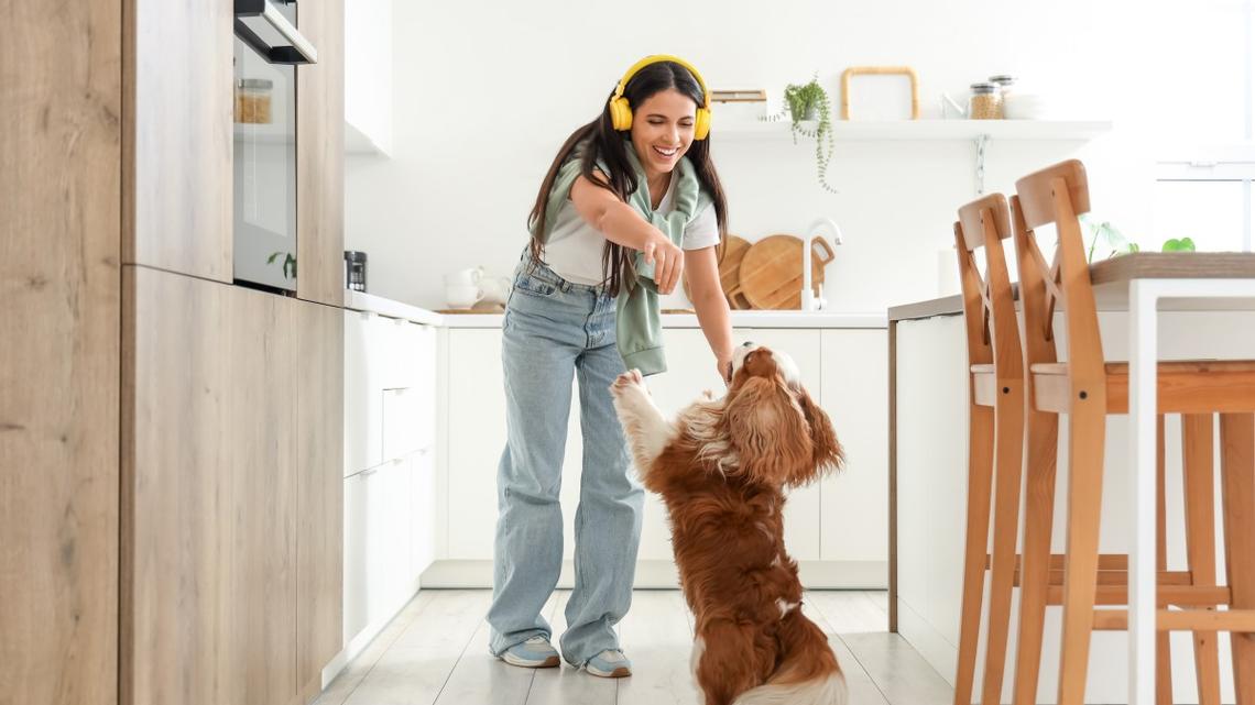 Find Out Your Dog's Love Language for a Better Bond 
